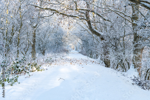 Snow covered in public footpath in the Scottish Borders © dvlcom