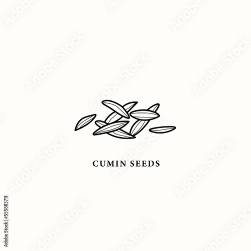 Line art cumin seeds illustration