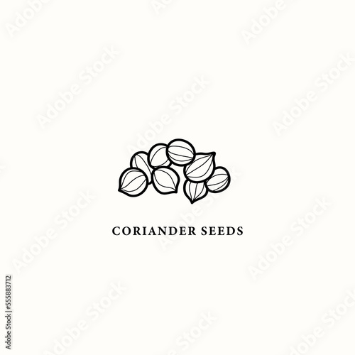 Line art coriander seeds illustration photo