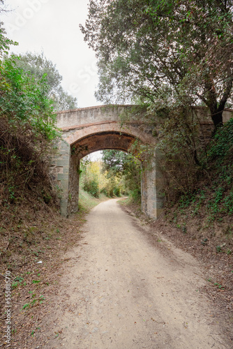 Puente por el que cruzamos para seguir en camino de tierra del sendero de la montaña para ver las cascadas de la verde montaña en un día de invierno.