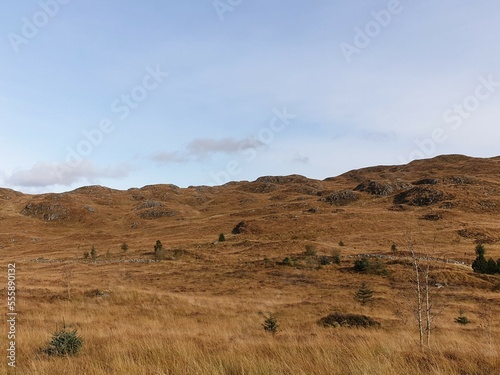 Rolling hills of Scotland
