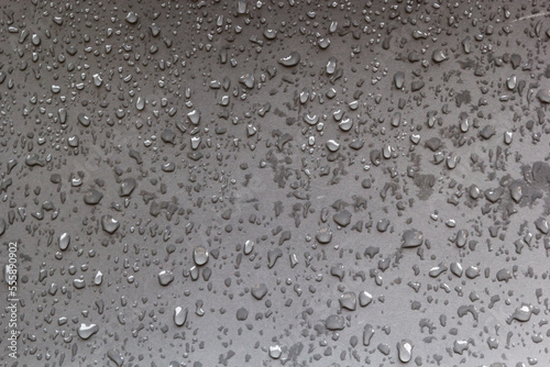 wet wooden planks of bench, background of wood texture with water drops from the rain, autumn mood