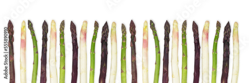 Asparagus group of green healthy vegetables organized in a row isolated on a white background as a food concept of health diet and living a natural fit well nourished life. Top view.