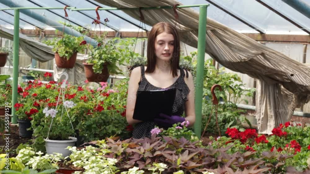 a girl greenhouse worker inspects plants and keeps records and records data. a girl greenhouse worker inspects plants and keeps records and records data.