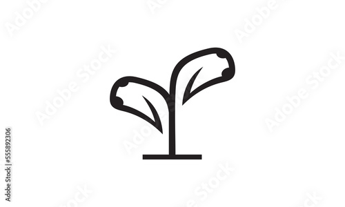 tree money logo design vector graphic icon.