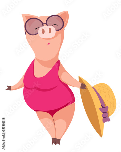 Proud anthropomorphic pig. A cute, adorable pig is standing on her feet in a bright pink swimsuit and sunglasses, with a big belly. He holds a hat in his hand.