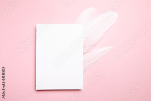Holiday greeting card mockup with white feather on light pink background, top view, flat lay. Blank wedding invitation or Valentine Day letter mockup