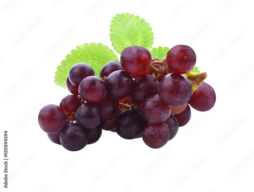 Grapes. Red grape. Grape branch isolated transparent png Grapes. Red grape. Grape branch isolated transparent png