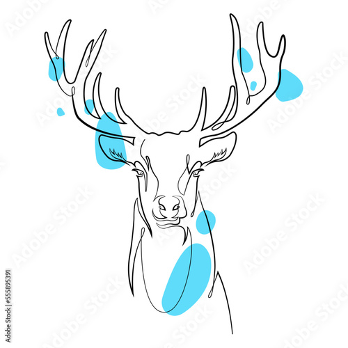 Linear illustration of a reindeer with colored elements. Vector print for clothes, accessories, covers, postcards. Linear graphic image.
