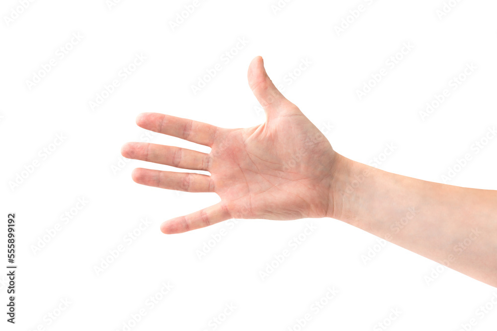 Open hand stock image. Image of five, thumb, adult, sign - 17416237