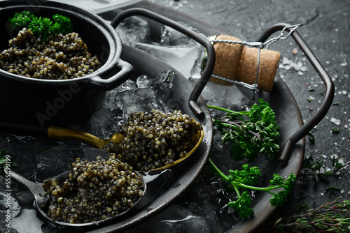 Black Sturgeon caviar on ice with parsley and a spoon. On concrete texture background.