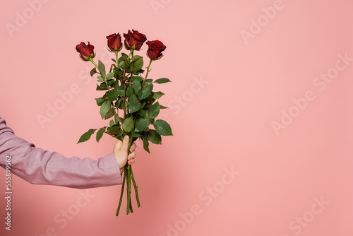 Cropped view of host of event in jacket holding red roses on pink background