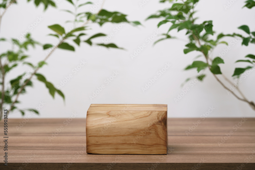 empty wooden podium texture on tabletop with tree branch fresh green leaf white space background.organic healthy natural product pedestal platform promotion show display,spring banner concept design. empty wooden podium texture on tabletop with tree branch fresh green leaf white space background.organic healthy natural product pedestal platform promotion show display,spring banner concept design.