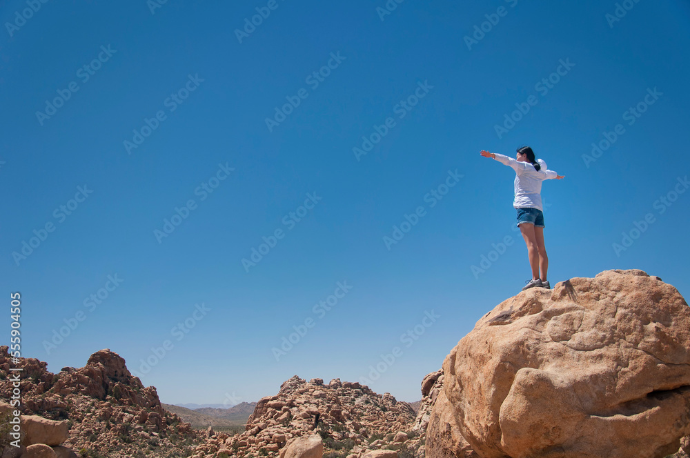 a woman standing on a large rock arms extended