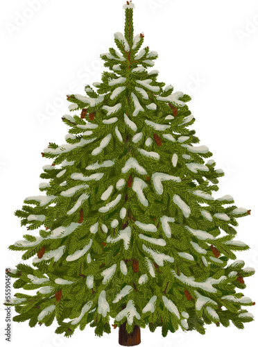 Christmas collection. Christmas tree with snow isolated