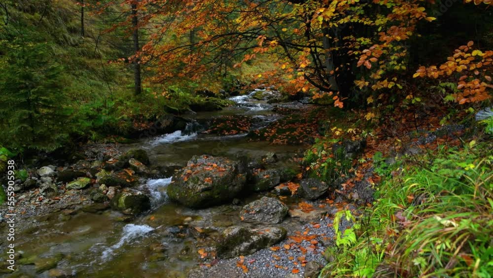 autumn in the mountains, mountain river, fallen leaves autumn in the mountains, mountain river, fallen leaves