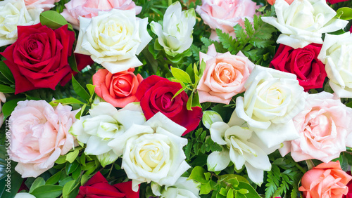 Colorful fresh roses or multi-colored roses background. A beautiful bouquet of roses for valentines