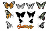 
Butterfly vector designs can be used for room decoration, stickers. or other decorations