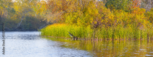 Wallpaper Mural quiet river with forest on coast, autumn natural rural landscape Torontodigital.ca