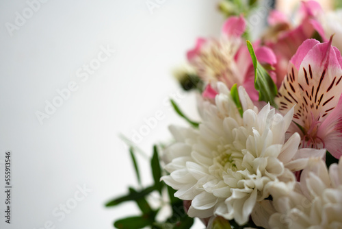 close up of pink chrysanthemum