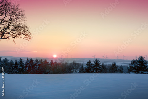 Beautiful winter sunset with tree in the snow.