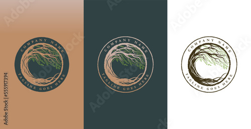 circle tree text and logo vector template