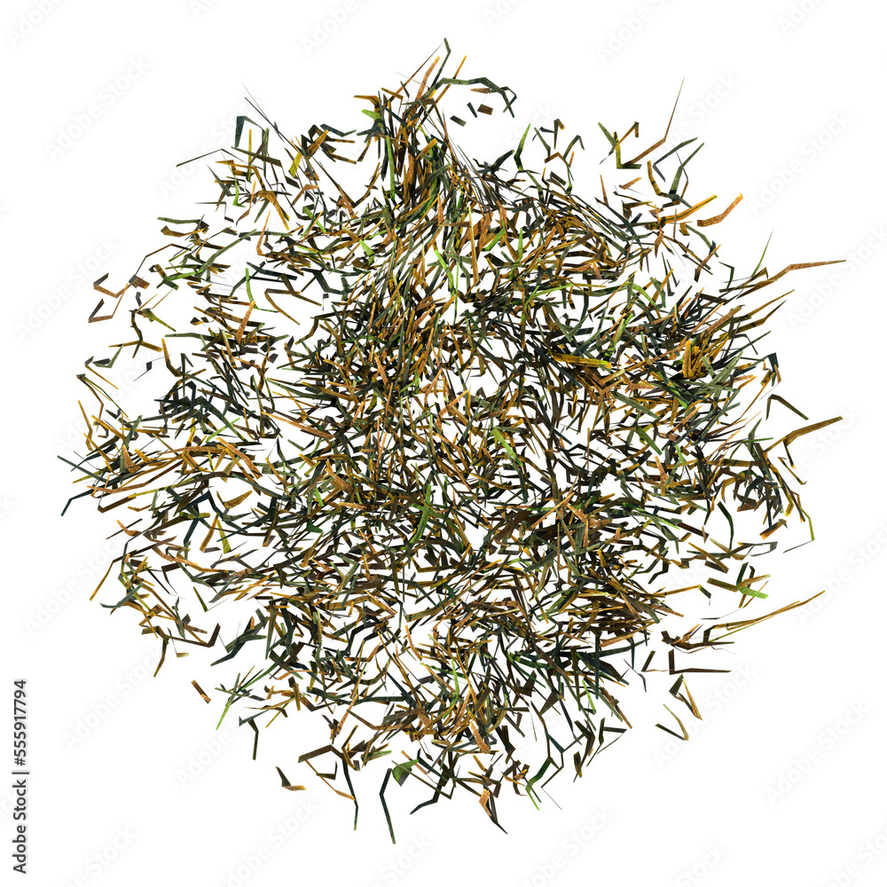 Top view of Plant ( Dry Grass Lawn 3) Tree png Top view of Plant ( Dry Grass Lawn 3) Tree png
