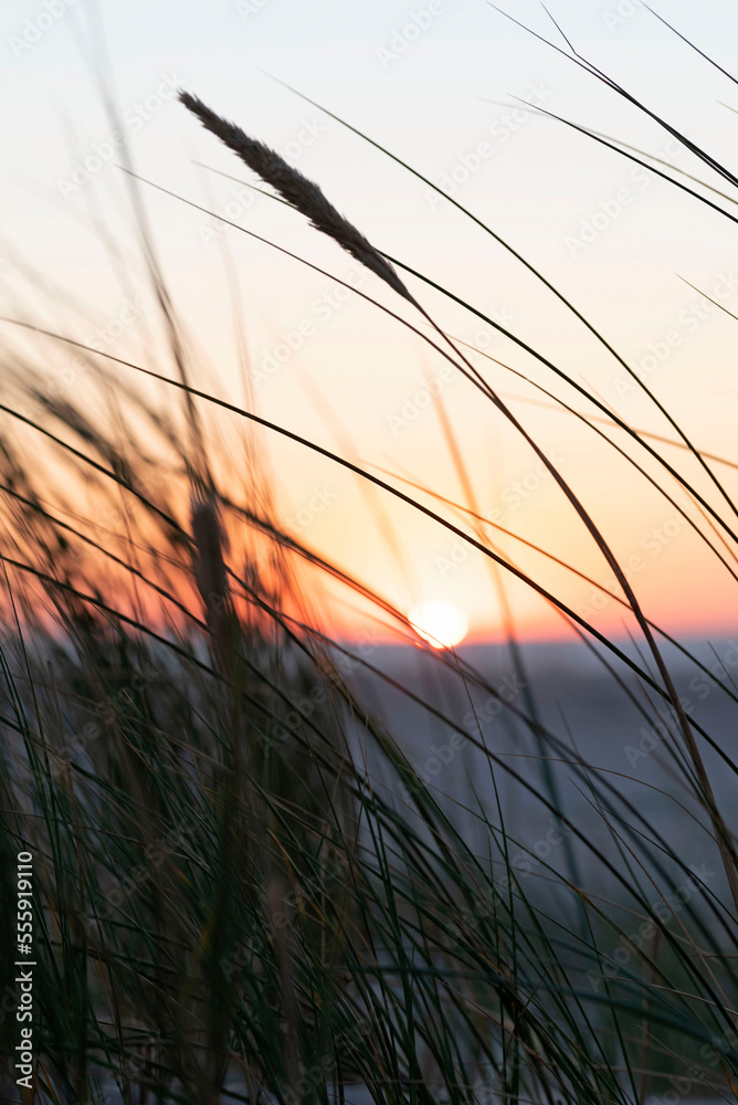 Ameland-The Netherlands-13-08-2022: Beautiful sunset at the dunes and beach.