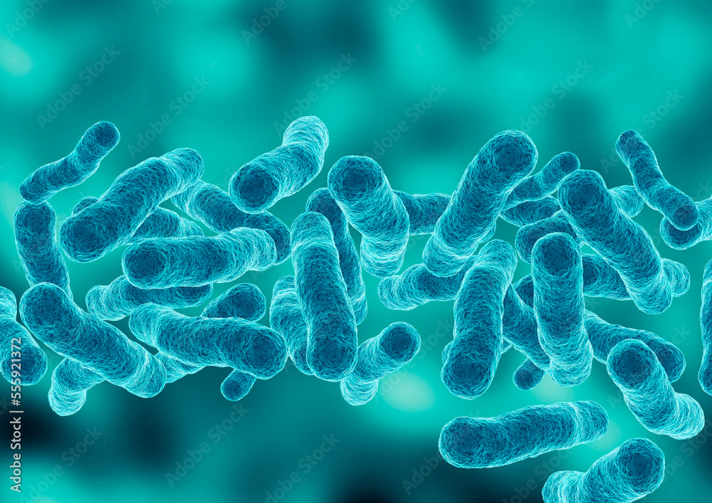 microscopic magnification Legionella pneumophila, Gramnegative bacillus that causes pneumonia