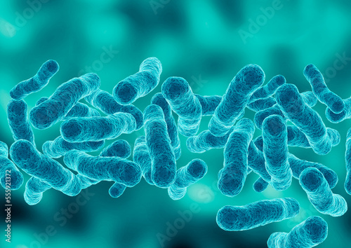 microscopic magnification Legionella pneumophila, Gram-negative bacillus that causes pneumonia photo