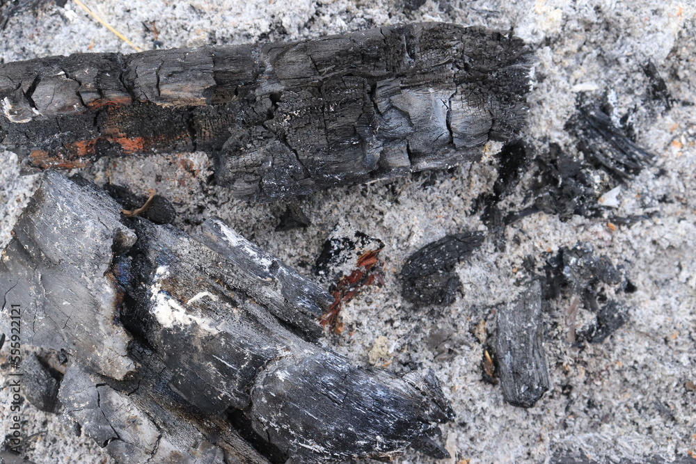 Background of burning wood ashes and charcoal
Background of burning wood ashes and charcoal