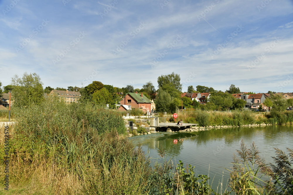 Obraz premium Le lac principal avec quelques lotissements résidentiels autour dissimulés derrière la végétation luxuriante du parc du Paradis à Braine l'Alleud en Brabant Wallon 