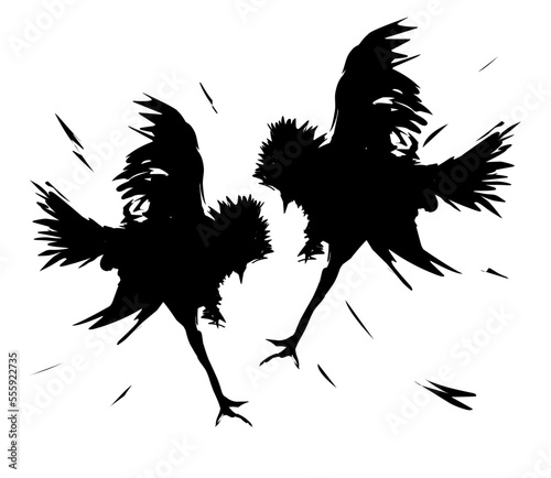Silhouettes of fighting cocks. Vector illustration isolated on white background.