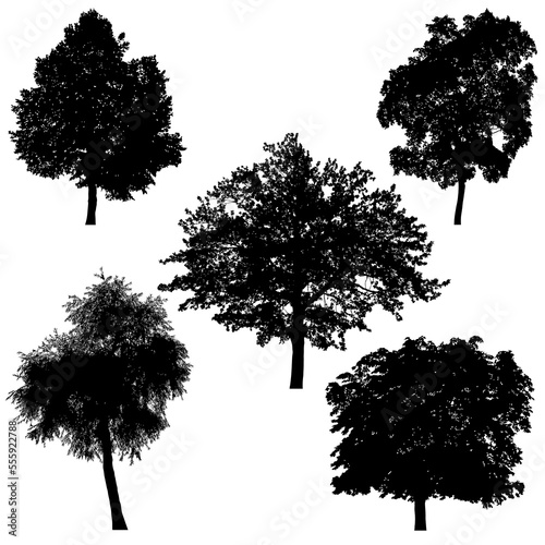 Set of silhouettes of trees on white background.