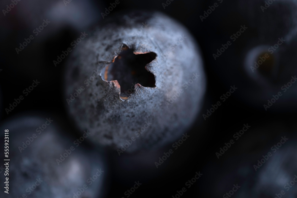 Close-up of freshly picked dark blueberry on dark background among other blueberries. Narrow depth of field Close-up of freshly picked dark blueberry on dark background among other blueberries. Narrow depth of field