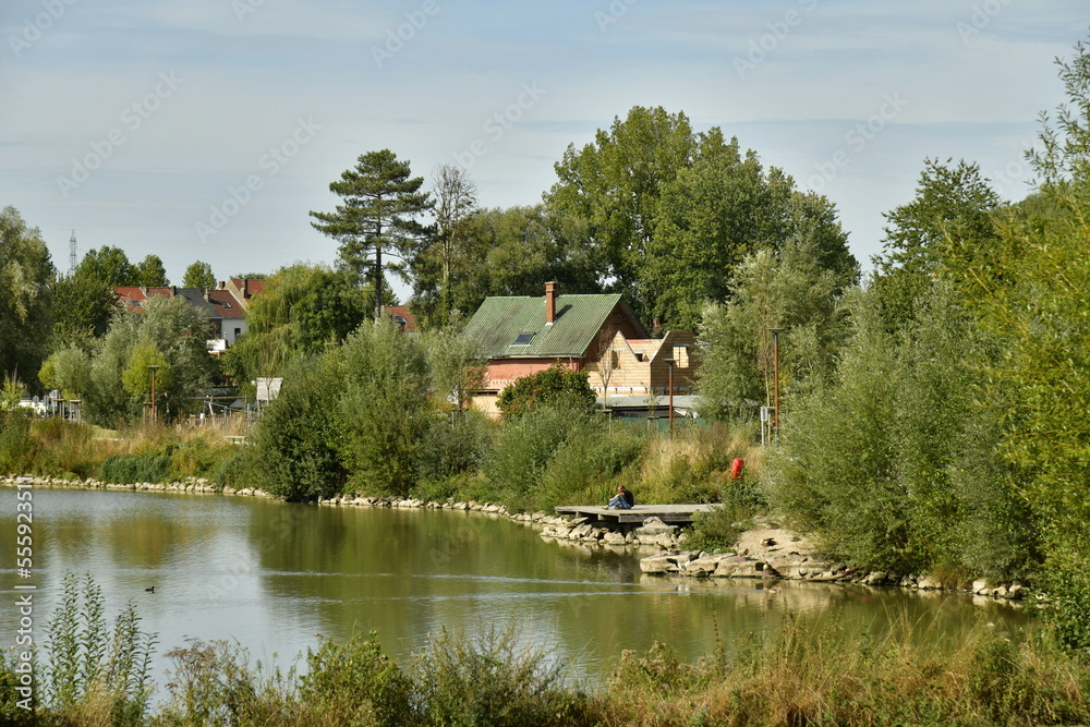 Le lac principal et sa végétation luxuriante dissimulant plusieurs maisons derrière elle au parc du Paradis à Braine l'Alleud 