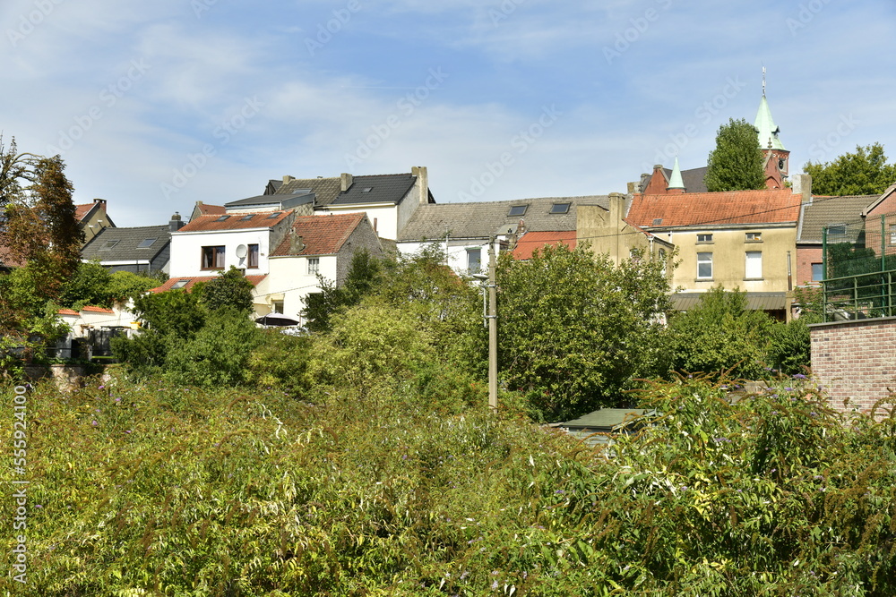 L'arrière des maisons traditionnelle derrière la végétation au sud de la petite ville de Braine-l'Alleud en Brabant Wallon 