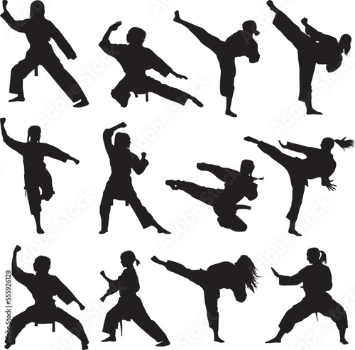 Women martial art silhouette