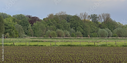 Ploughed agricultural field, ready for sowing in spring in Vinderhoute, Flanders, Belgium, surrounded willow and poplar trees, under a cloudy sky  photo