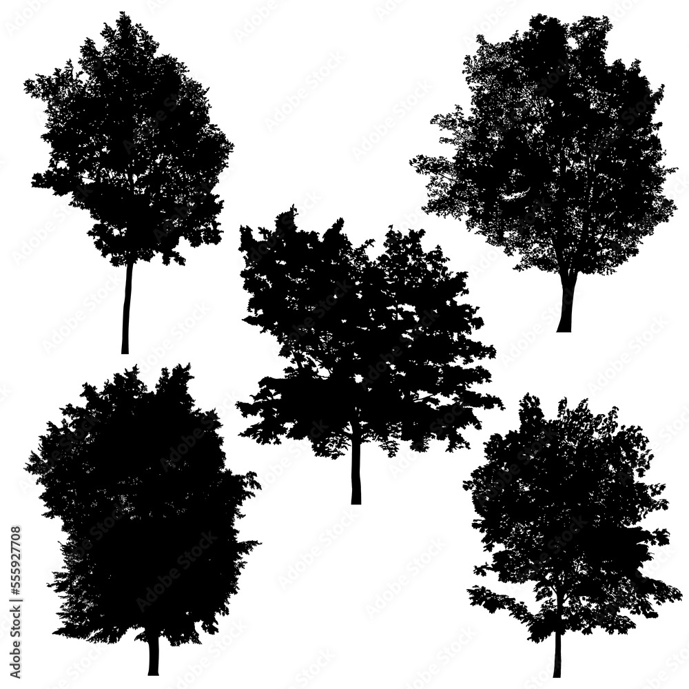 Fototapeta premium Set of silhouettes of trees on white background. 