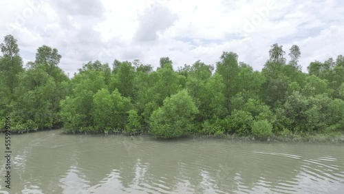 sundarban World biggest mangrove forest raw smooth video footage - sundarban mangrove forest river and tree trolly video photo