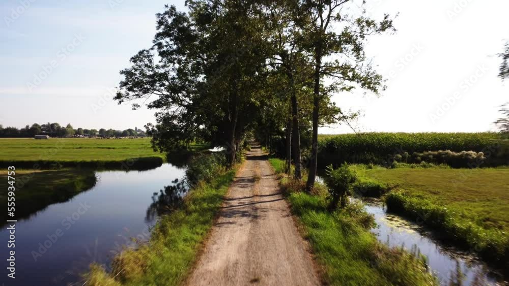 Drone flying low through a narrow countryside dirt road between trees. Drone flying low through a narrow countryside dirt road between trees.