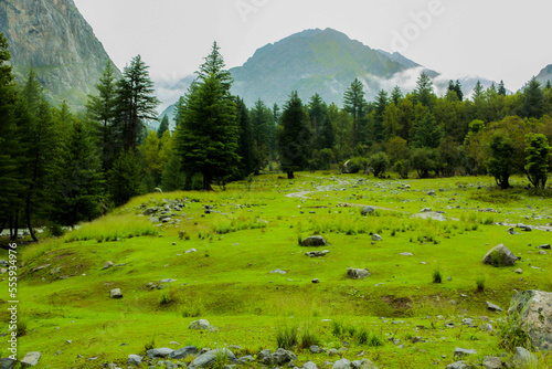 landscape alpine meadow in the mountains