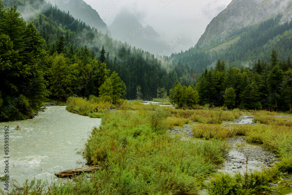 alpine stream in the mountains landscape