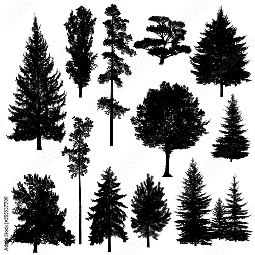 Set of silhouettes of deciduous and coniferous trees on white background.
