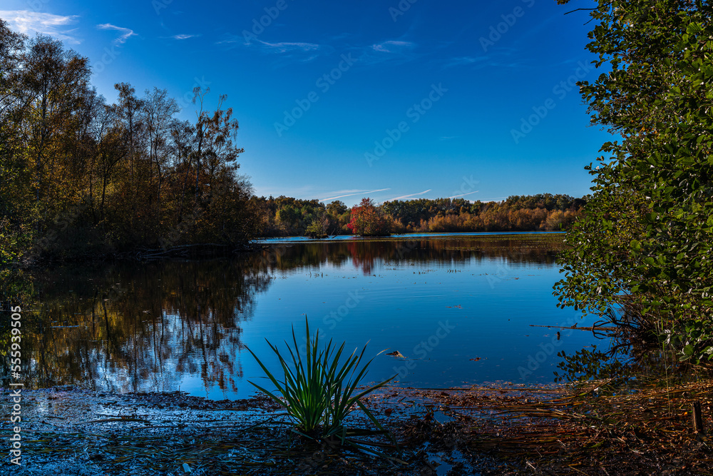 Obraz premium Herbst am Moorsee