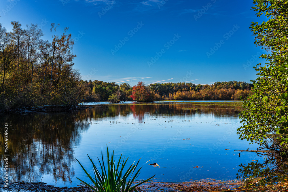 Obraz premium Herbst am Moorsee