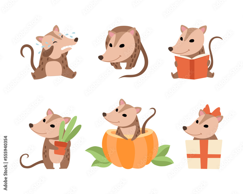 Cute Opossum Animal Engaged in Different Activity Vector Set