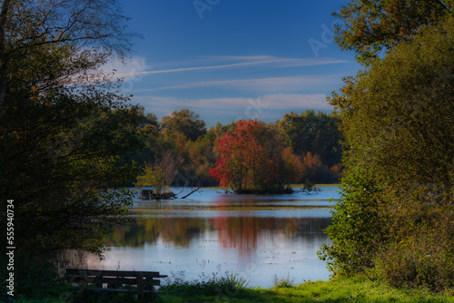 Moorsee im Herbst