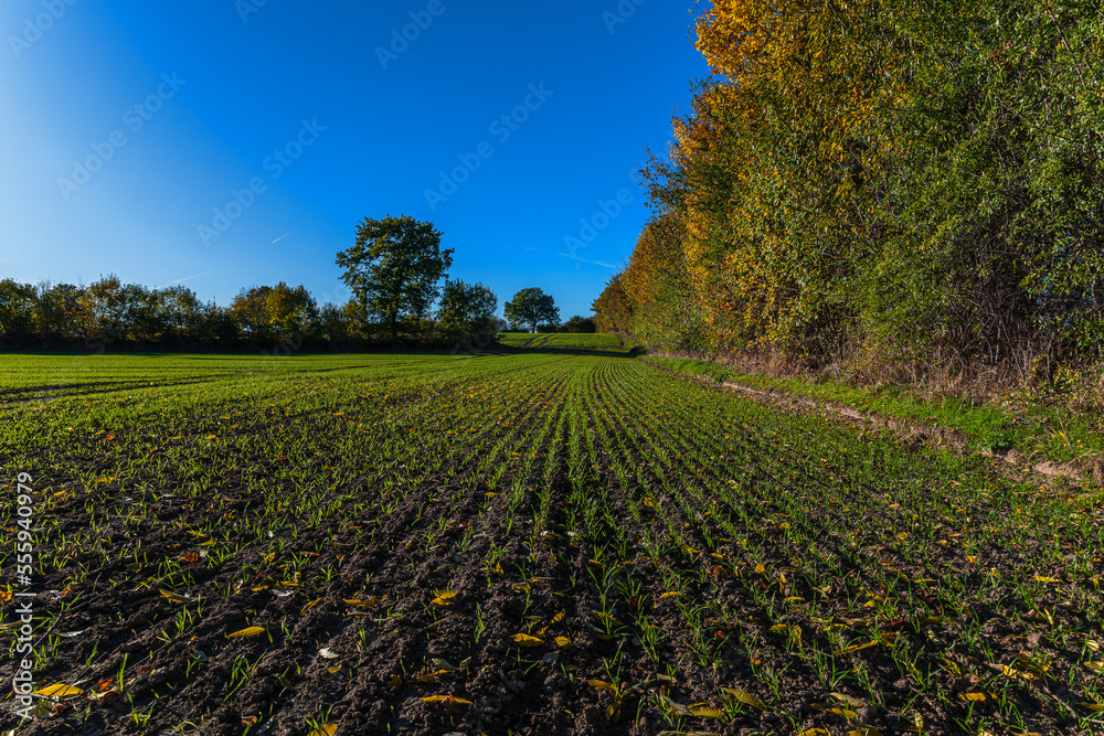 Obraz premium Felder und Wiesen